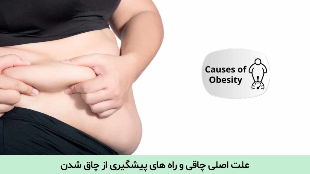 علت اصلی چاقی چیست؟